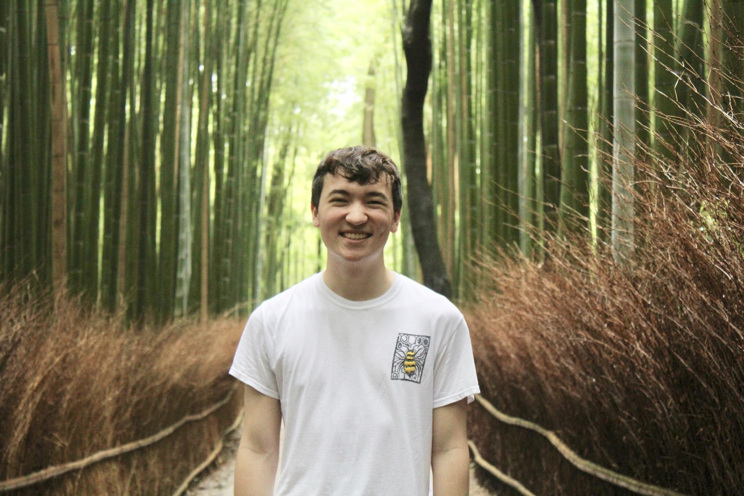 Leo Saenger, Harvard College